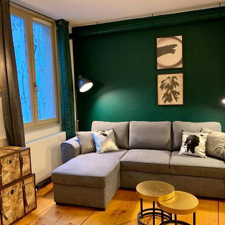 Appartements Des 2 Tetes Colmar Bagian luar foto