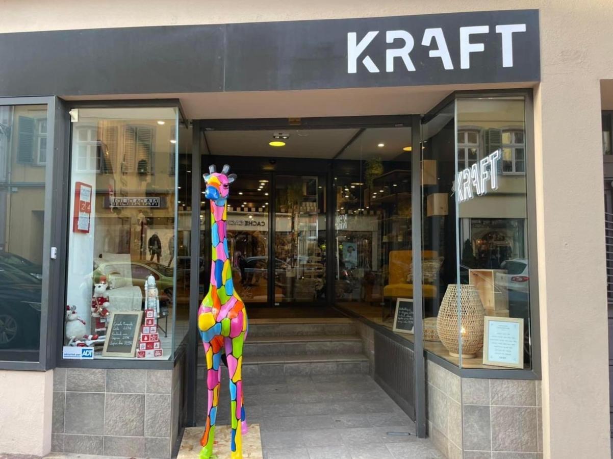 Appartements Des 2 Tetes Colmar Bagian luar foto