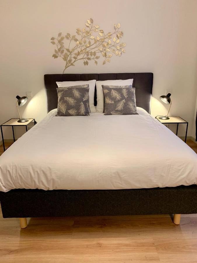 Appartements Des 2 Tetes Colmar Bagian luar foto