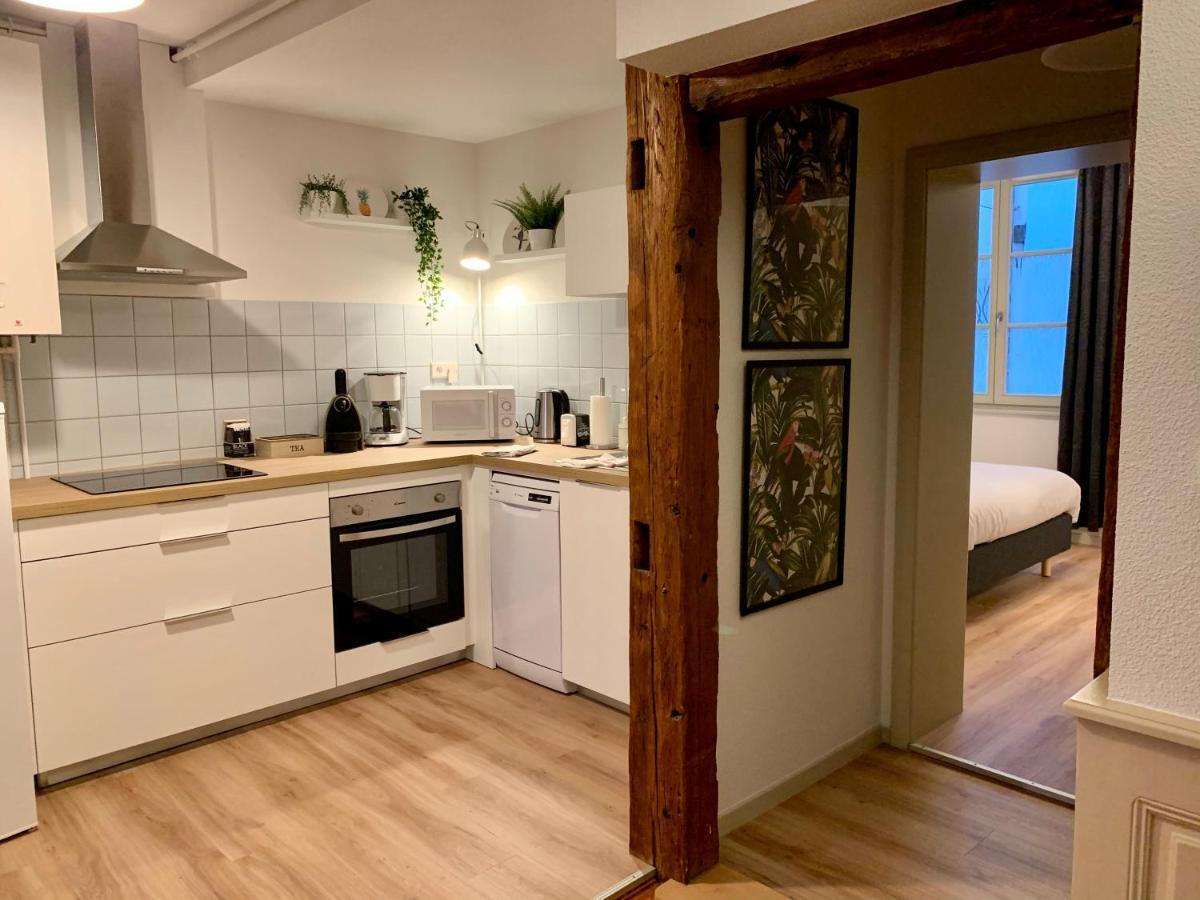Appartements Des 2 Tetes Colmar Bagian luar foto