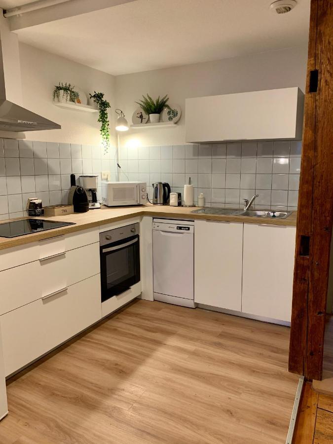 Appartements Des 2 Tetes Colmar Bagian luar foto