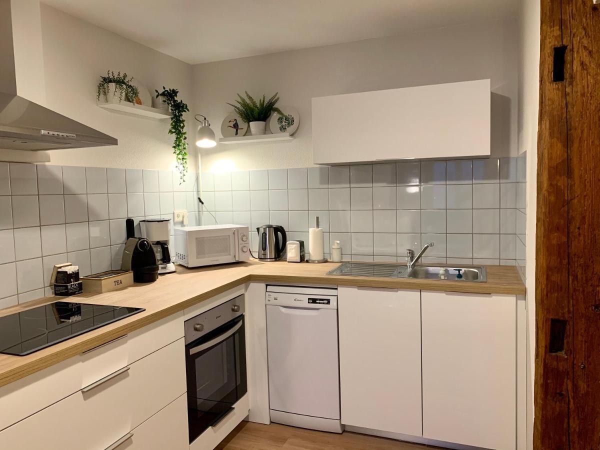 Appartements Des 2 Tetes Colmar Bagian luar foto